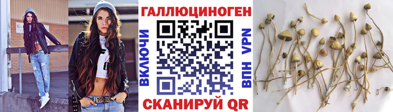 закладка  mega зеркало  Галлюциногенные грибы Psilocybine cubensis  Снежногорск 